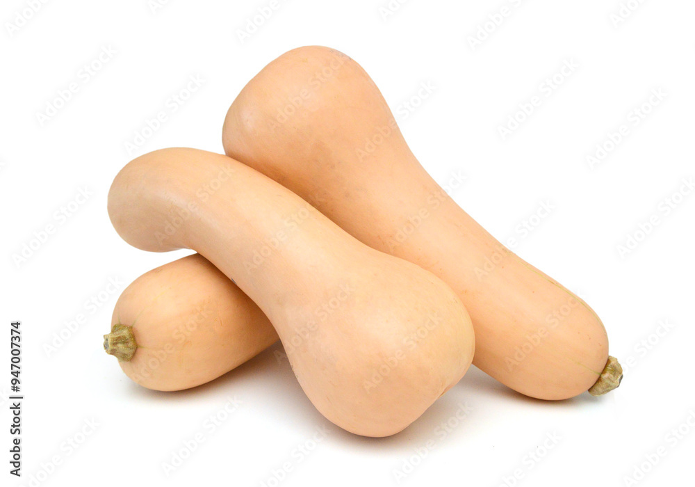 Butternut squash isolated on white background Butternut squash isolated on white background