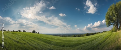 Rolling Green Field Under a Blue Sky with Fluffy Clouds