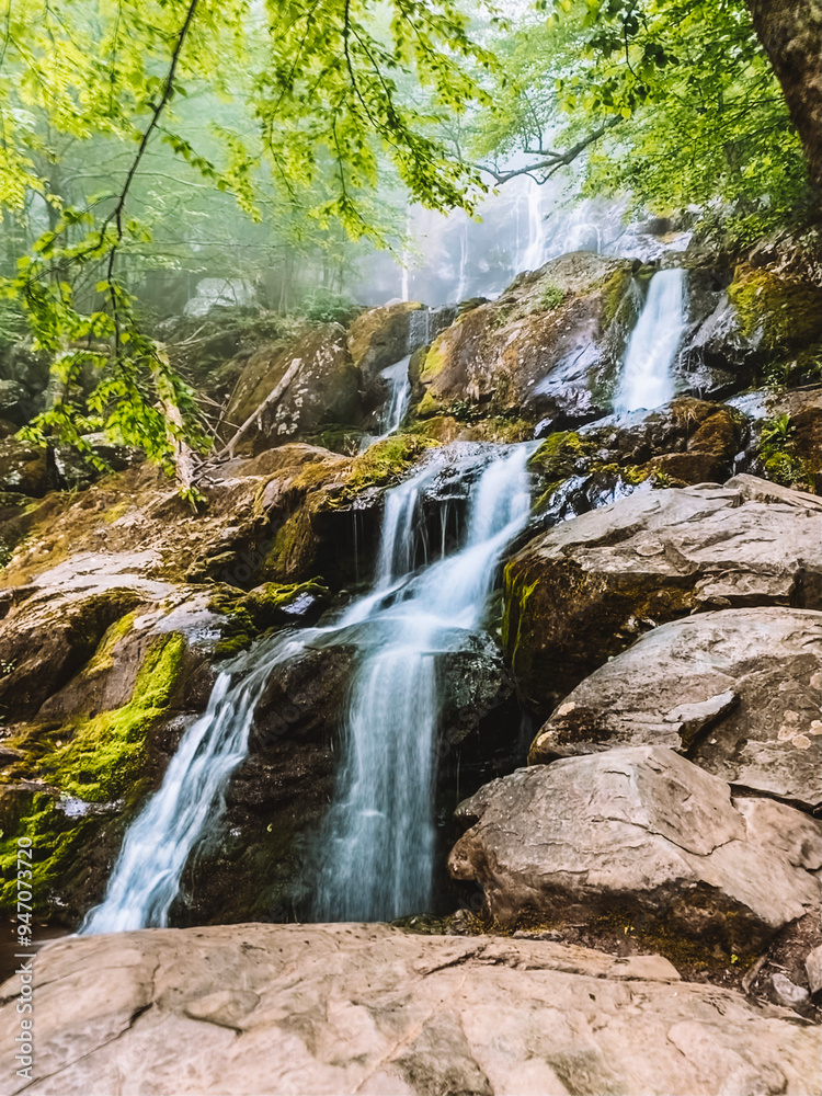 Obraz premium Waterfall. Nature. Landscape.