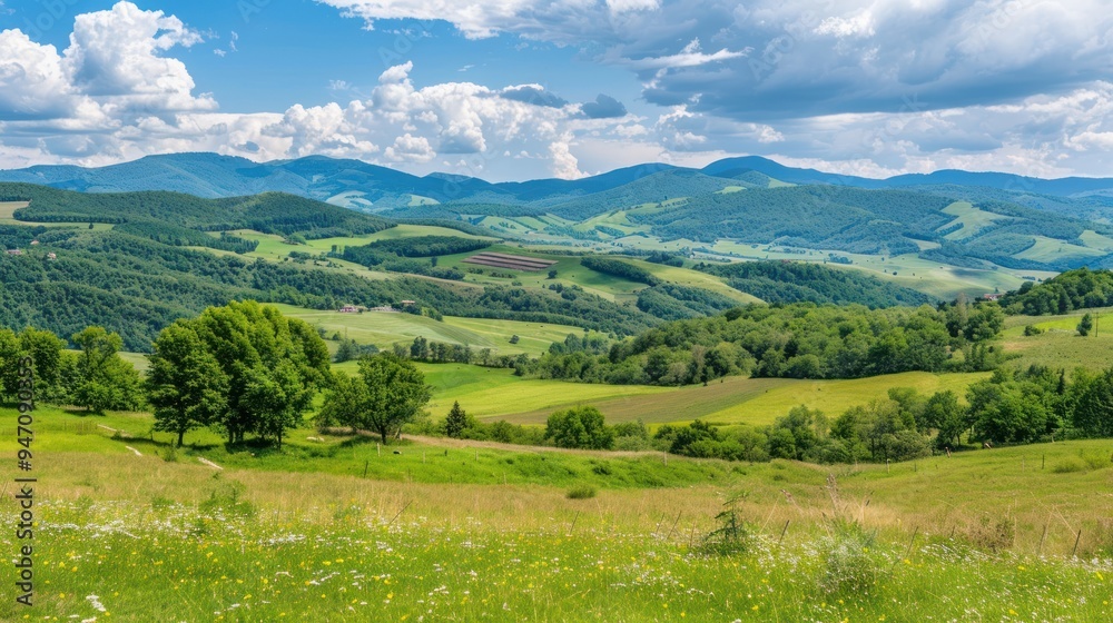 Rolling green hills and blue sky in a picturesque mountain landscape.
