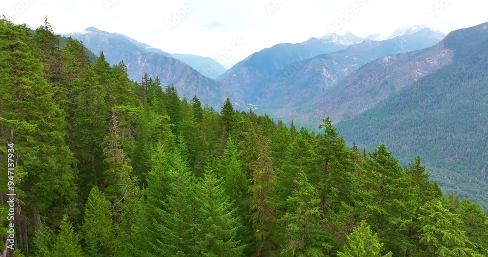 Soaring Above North Cascades Forest Hills and Valleys Soaring Above North Cascades Forest Hills and Valleys