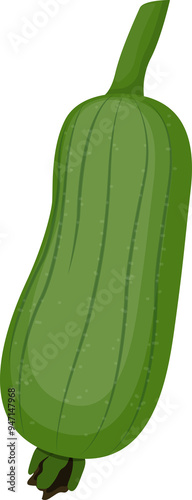 Vegetable fresh organic loofah