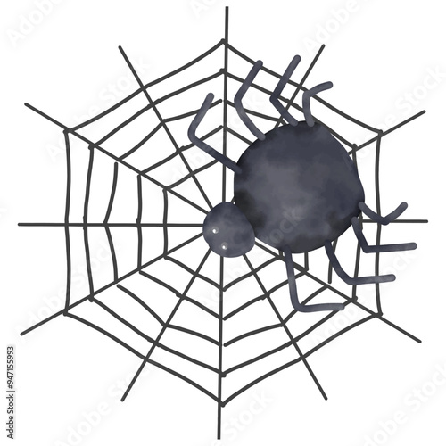 spider and web on white 