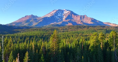 Towering Evergreen Trees and Mt Shasta Peak in the Distance