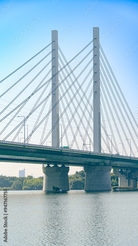 Fototapeta premium 彩湖に架かる幸魂大橋