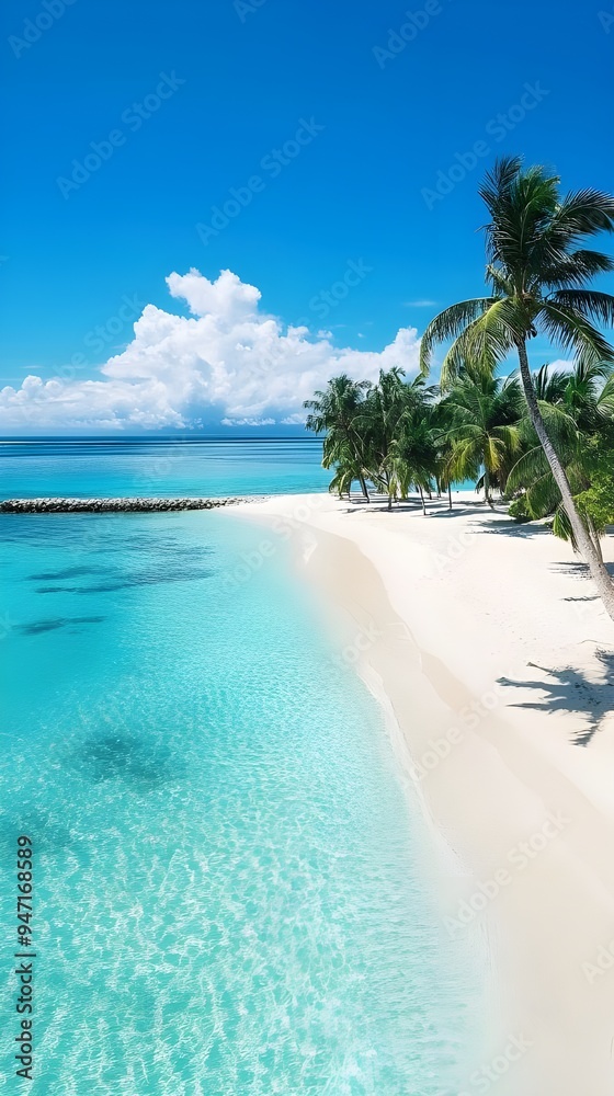 Fototapeta premium summer background