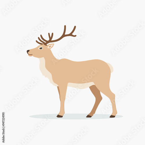 Deer Antlers Wildlife Forest Nature