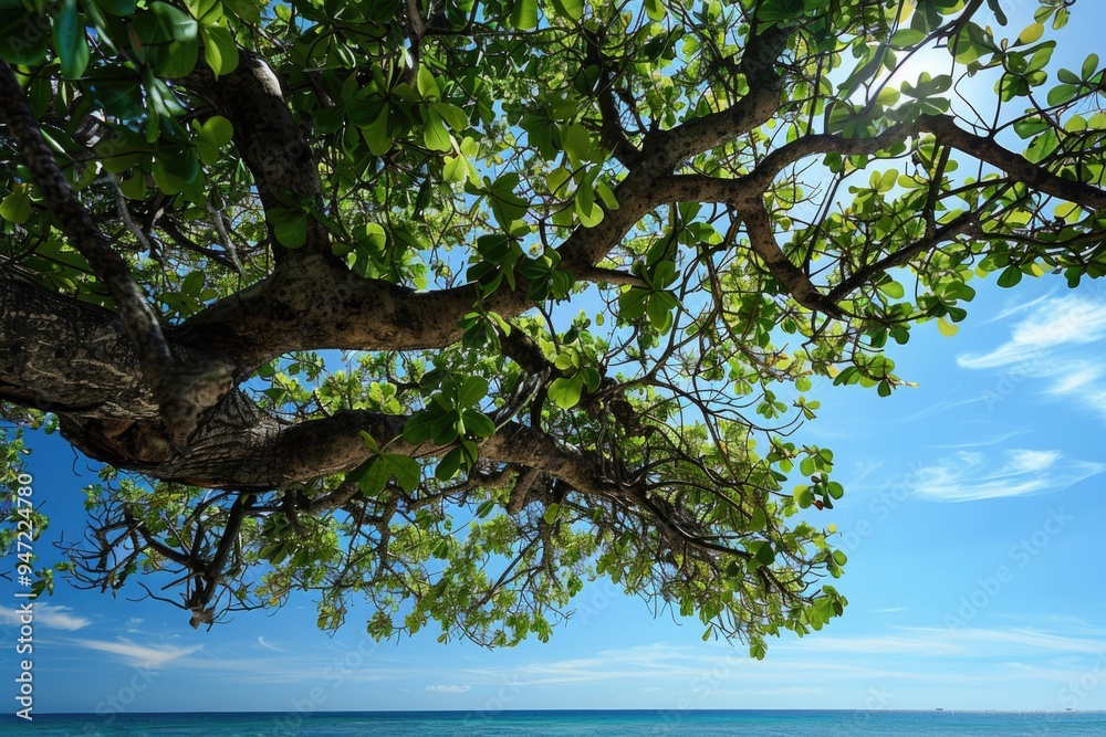 Fotografie Cozy bench located under a tree on a peaceful beach