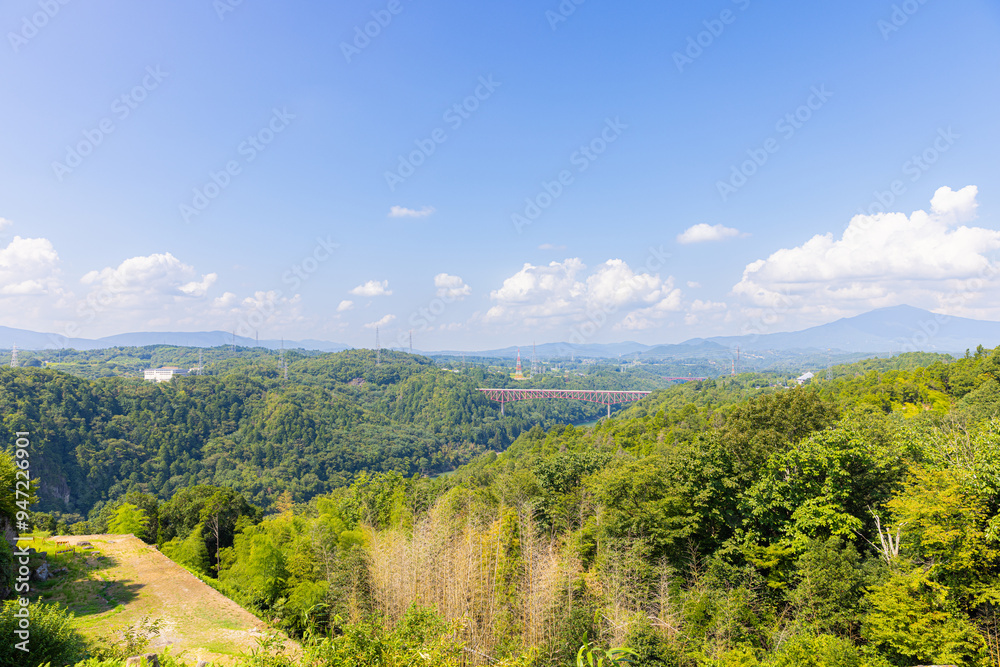 Fototapeta premium 苗木城跡からの眺望