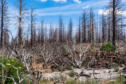 Lava Beds National Monument, California photo