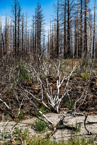 Lava Beds National Monument, California photo