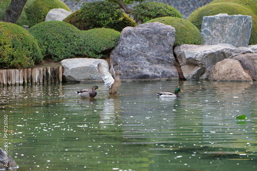 Jugando en el agua