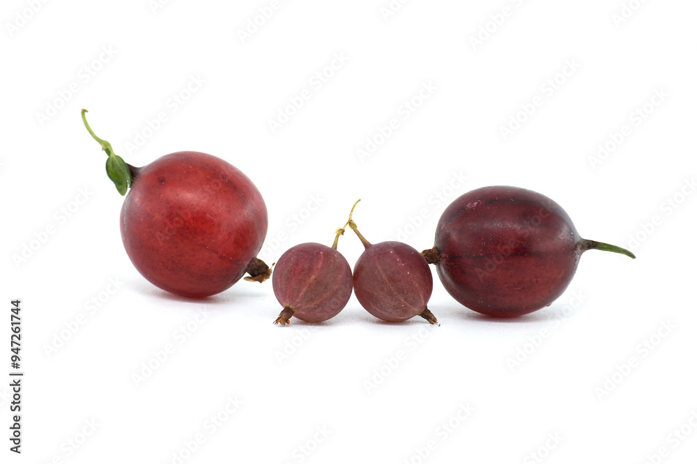 Close-up of fresh gooseberries isolated on white background Close-up of fresh gooseberries isolated on white background