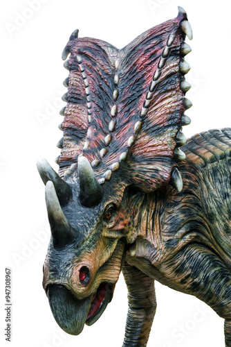 Chasmosaurus is a herbivore genus of ceratopsid dinosaurs from the Cretaceous Period. Chasmosaurus has a transparent background.