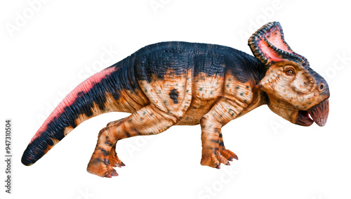 Protoceratops is a genus of herbivorous ceratopsian dinosaurs that lived in the Cretaceous Period. Protoceratops has a transparent background.