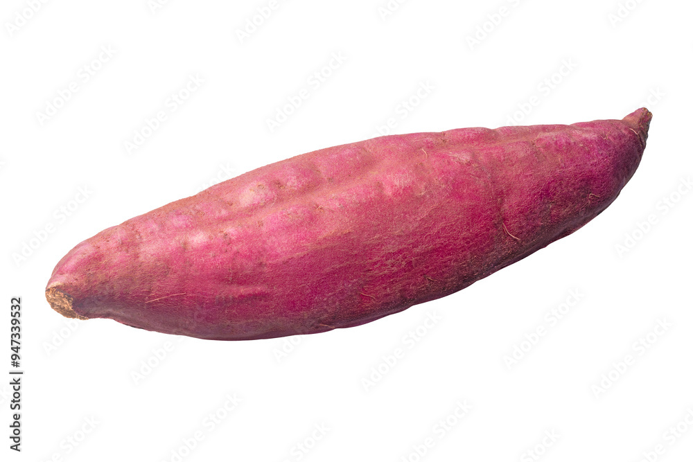 サツマイモ / sweet potato サツマイモ / sweet potato