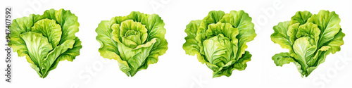 Wallpaper Mural Fresh green lettuce heads displayed in row, showcasing vibrant colors and textures. image evokes sense of freshness and healthiness.  Torontodigital.ca