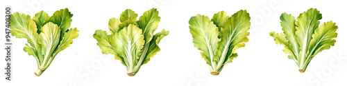 Fresh green lettuce leaves, vibrant and healthy, arranged in row. Ideal for culinary designs or healthy eating themes. 