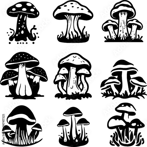 Silhouette mushrooms stencil black and white illustration various edible and poisonous mushrooms. Vector illustration