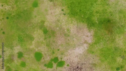 Aerial view of green grass with patches of brown and yellow.