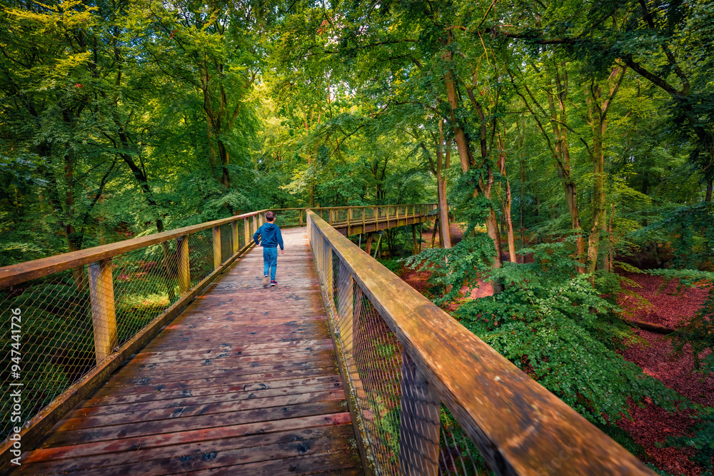 Green summer view of observation deck in Natural Heritage Centre Rugen. Wonderful morning scene of foliage woodland. Beauty of nature concept background. Green summer view of observation deck in Natural Heritage Centre Rugen. Wonderful morning scene of foliage woodland. Beauty of nature concept background.