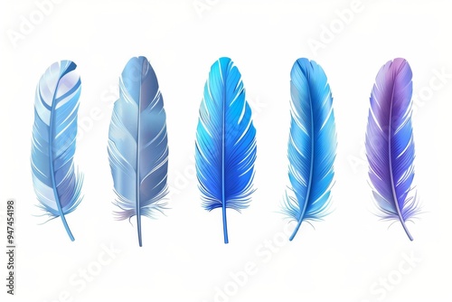 Feather icon, animal feathers isolated, plume symbol, elegant soft plume sign on white background