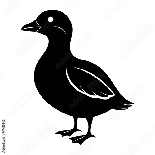 Parakeet auklet Black silhouette isolated on a white background, Duck silhouettes, vector collection photo