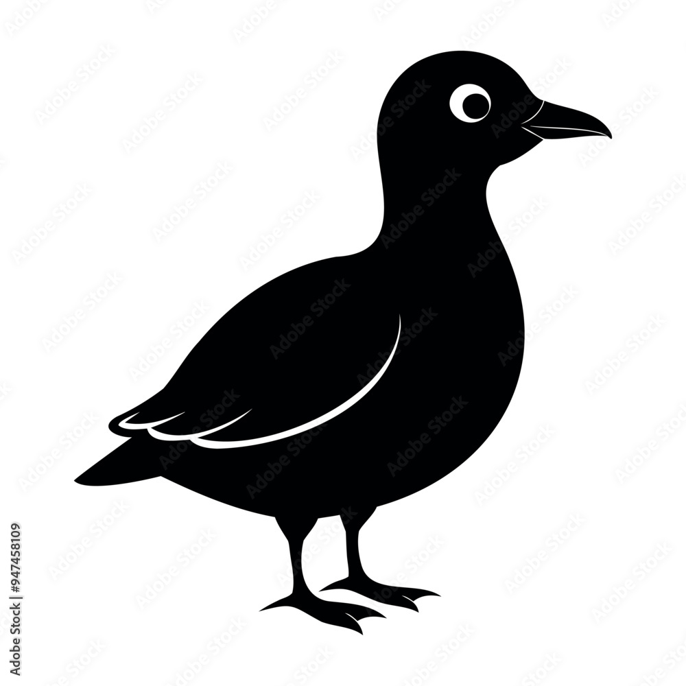 Parakeet auklet Black silhouette isolated on a white background, Duck silhouettes, vector collection Parakeet auklet Black silhouette isolated on a white background, Duck silhouettes, vector collection