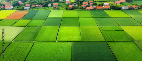 Aerial view of a vast green field, divided into squares, showcasing the beauty of agricultural land. photo