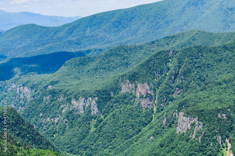 Fototapeta premium 層雲峡黒岳山麓を歩く 