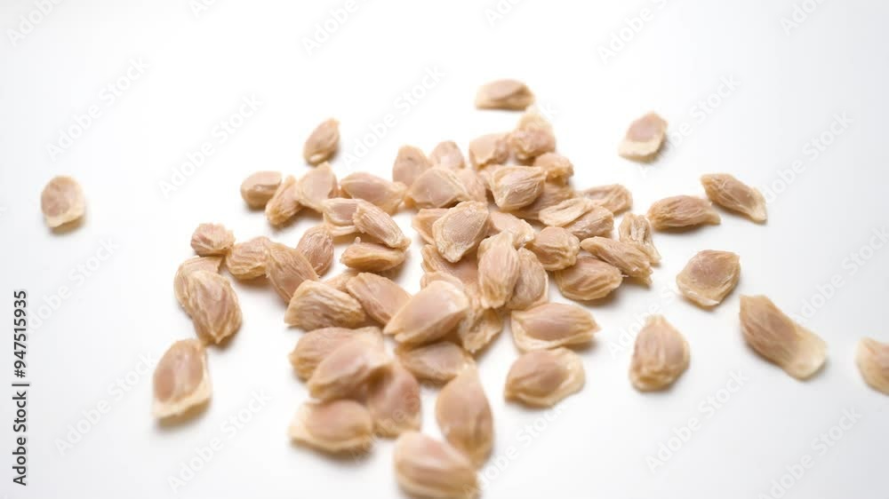 Orange grapefruit seeds slide view on white table, seeds isolated on white background Orange grapefruit seeds slide view on white table, seeds isolated on white background