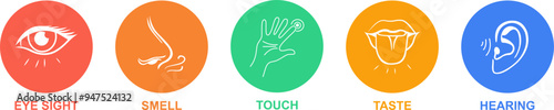 Senses line icons set. 5 five types symbols. Vector illustration set