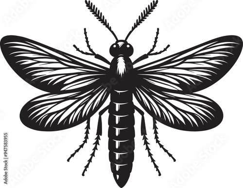 Beautiful firefly insect silhouette illustration isolated on a white background