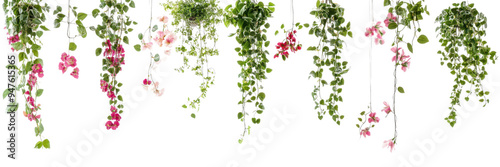 Dense Bush with Red Flowers and Green Foliage Isolated on Transparent Background, Ideal for Colorful Eco Gardens and Landscape Designs