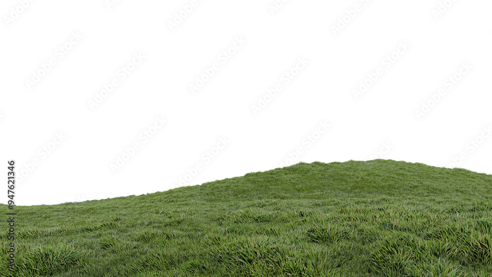 Obraz premium nature grass meadow land lush greenery landscape lawn isolated background.