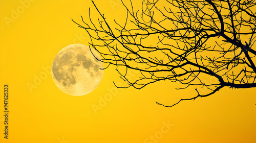 Bright moon and silhoette tree branch on yellow sky. photo