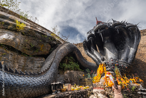 The big black serpent statue at Wat Phu Yod Ruay, Ubon Ratchathani, Thailand photo