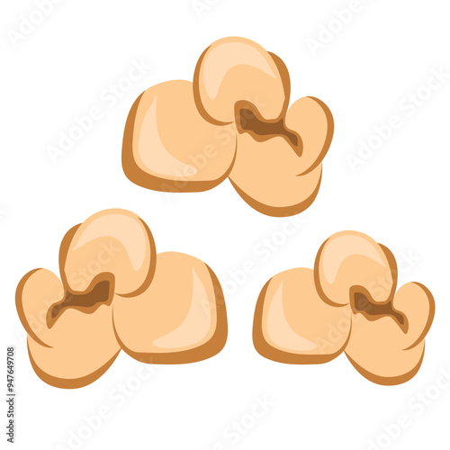 Popcorn Kernel