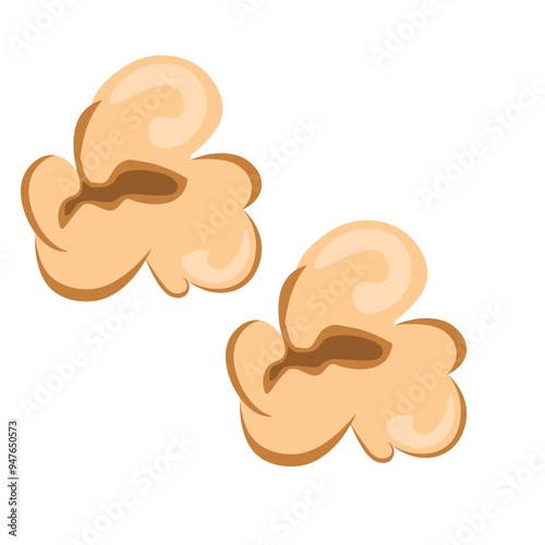 Popcorn Kernel