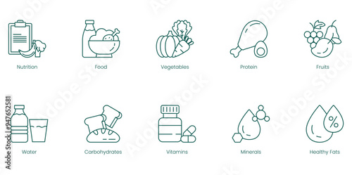 Essential Nutrition Vector Icons: Nutrition, Food, Vegetables, Protein, Fruits, Water, Carbohydrates, Vitamins, Minerals, and Healthy Fats