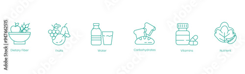 Comprehensive Nutrition Vector Icons: Dietary Fiber, Fruits, Water, Carbohydrates, Vitamins, and Nutrition