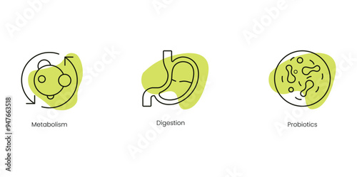Gut Health Vector Icons: Metabolism, Digestion, and Probiotics