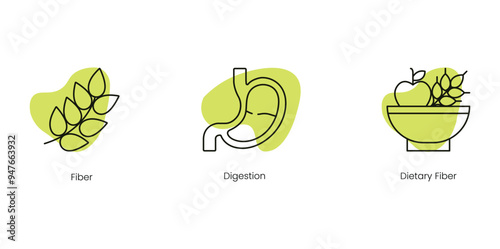 Digestive Health and Fiber Vector Icons: Fiber, Digestion, and Dietary Fiber