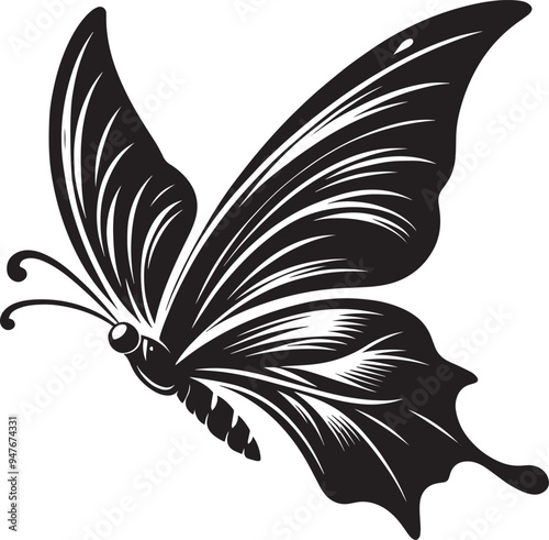 Beautiful butterfly insect silhouette illustration isolated on a white background