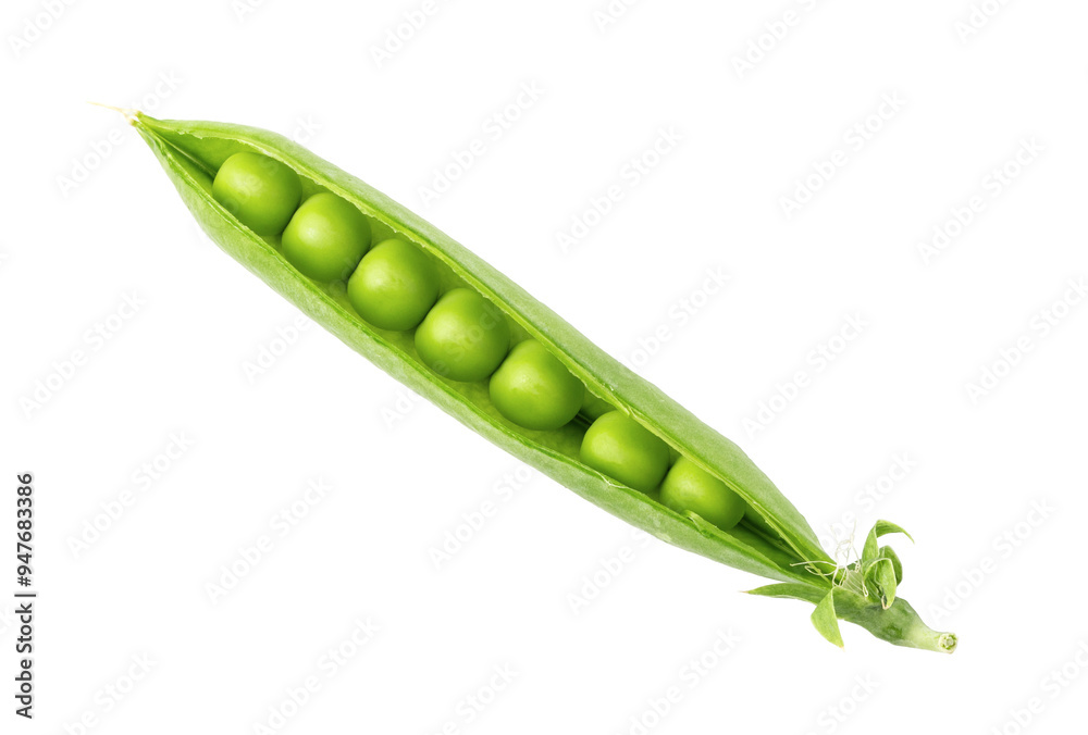 green pea vegetable bean isolated. png file green pea vegetable bean isolated. png file
