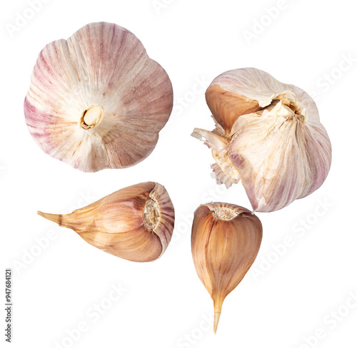 Fototapeta Naklejka Na Ścianę i Meble -  Garlic  isolated. png file