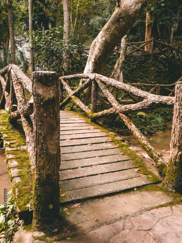 Cement looks like wooden bridge, covered with moss in the Malaysian rainforest photo