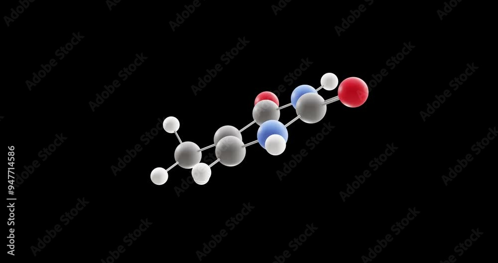 Thymine molecule, rotating 3D model of nucleobases, looped video on a black background Thymine molecule, rotating 3D model of nucleobases, looped video on a black background