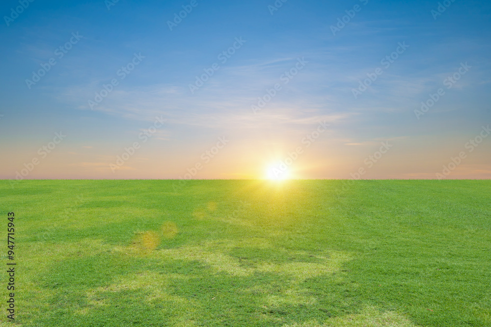 Fototapeta premium Landscape view of green grass field with sunset sky background.