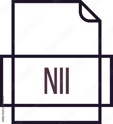 NII File icon thick outline sharp corners photo